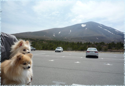 浅間山と一緒に.jpg